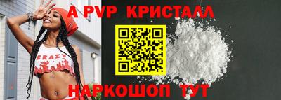 гидра Будённовск