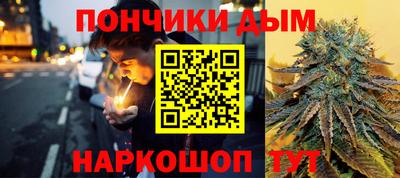 гидра Будённовск