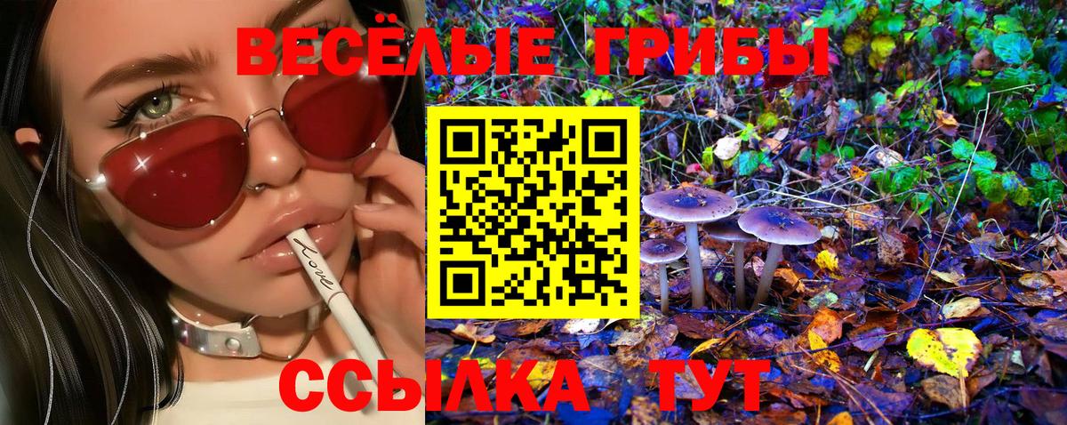 Североуральск  Псилоцибиновые грибы мухоморы  Псилоцибиновые грибы GOLDEN TEACHER  Вход с VPN 