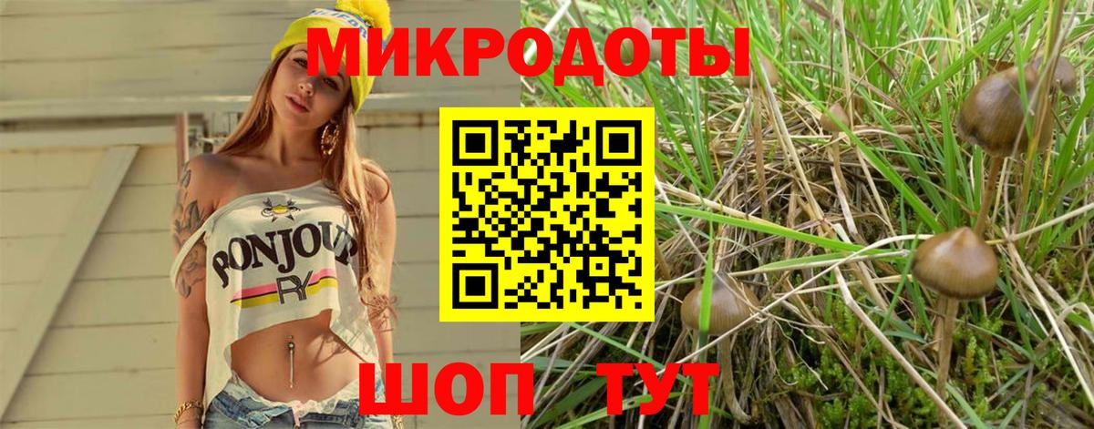Псилоцибиновые грибы ЛСД Североуральск